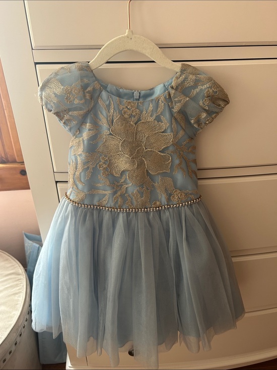 David Charles Other - Elegant Light Blue & Gold Floral Tulle Dress for Girls